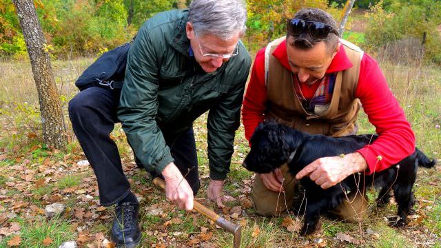 We spend the day with local truffle hunters and their award winning dogs during our Norcia vacation in Umbria